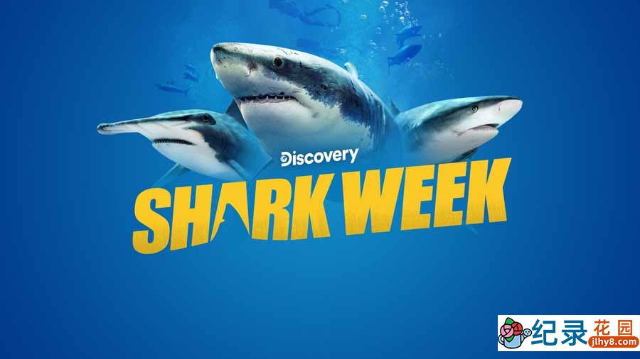 探索频道鲨鱼研究纪录片《鲨鱼周 2014 Shark Week》全13集中字 纪录片解说素材百度云盘下载 1080/MP4/32.5G