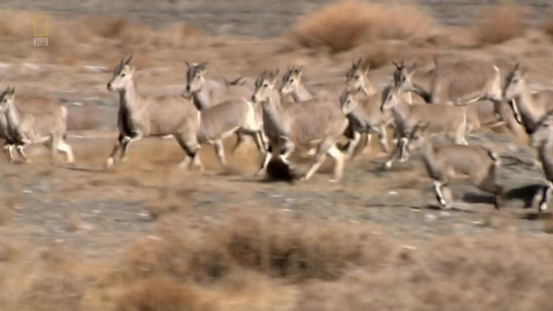 国家地理：极限铁路 National Geographic – Megastructures: Extreme Railway
