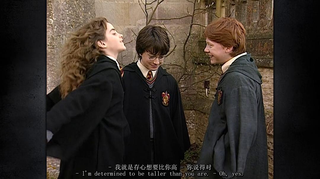 创造哈利·波特的世界：成长 Creating the World of Harry Potter Part 8 Growing up