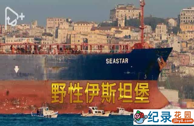 PTS自然生态纪录片《野性伊斯坦布尔 Wild Istanbul》全1集中字 标清纪录片资源百度云盘下载