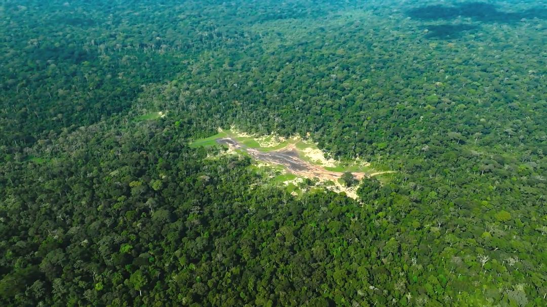 贝尔蒂·格雷戈里：与动物零距离 Animals Up Close with Bertie Gregory