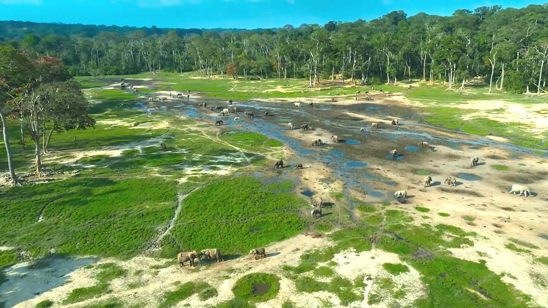 贝尔蒂·格雷戈里：与动物零距离 Animals Up Close with Bertie Gregory