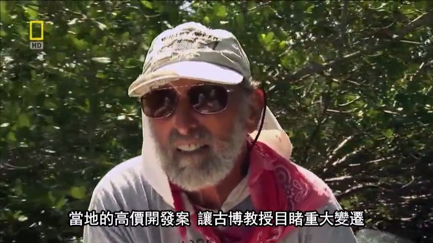 国家地理：21世纪鲨鱼 National Geographic 21st Century Shark