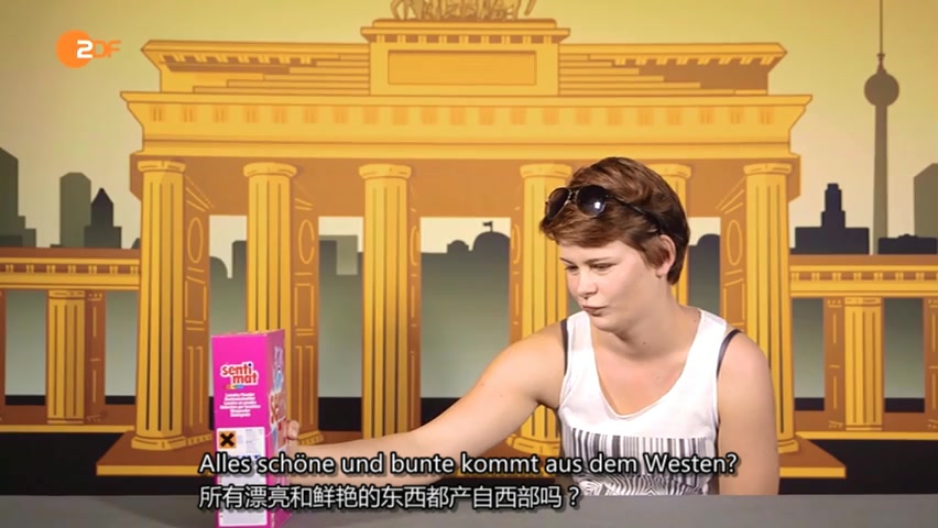 东西德大调查 Ost und West – der große Check