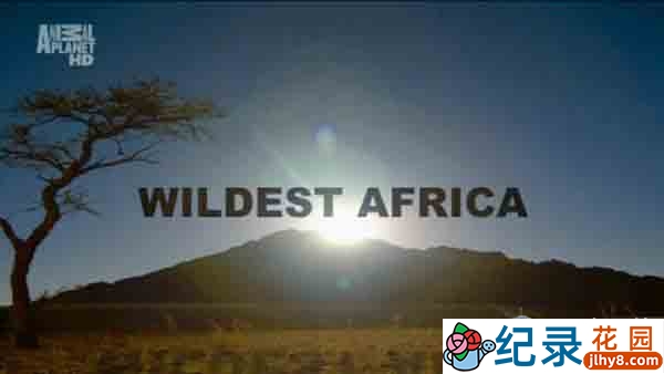 野生动物纪录片《非洲野生大地 Wildest Africa》全13集 720P/1080i高清纪录片资源百度云盘下载