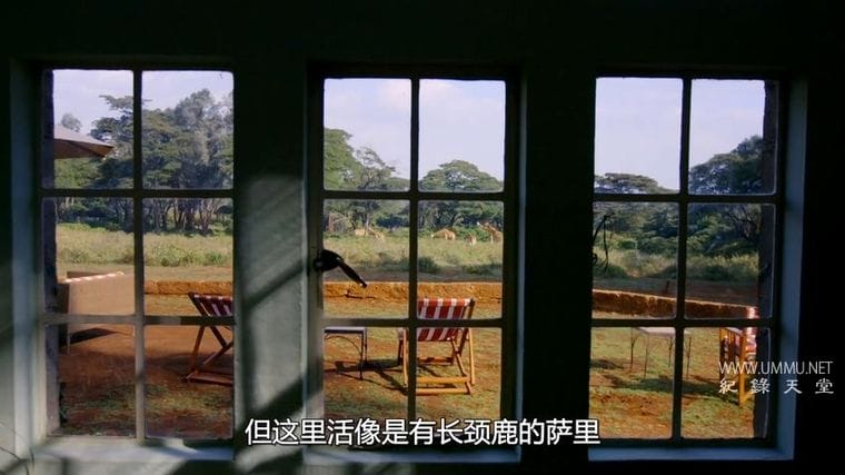 奇妙酒店：大堂之外的生活 第一季全6集   Amazing Hotels: Life Beyond The Lobby