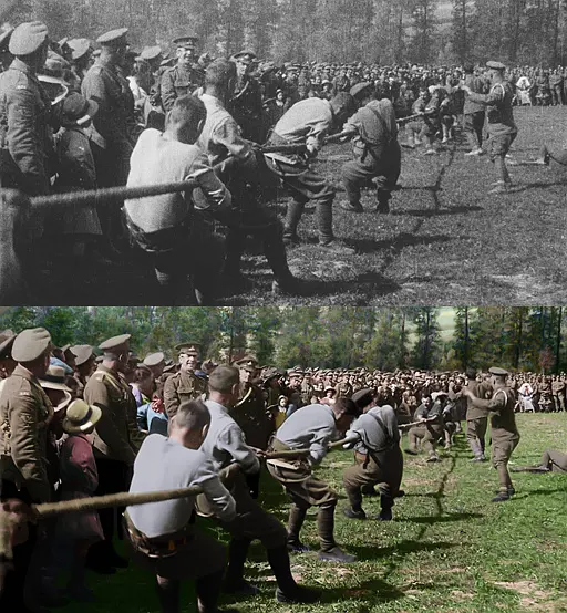 他们已不再变老 They Shall Not Grow Old