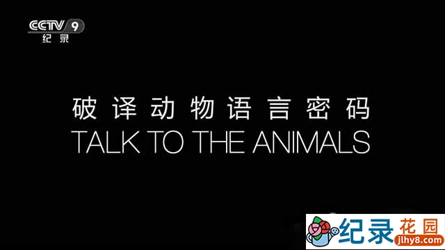 BBC野生动物纪录片《破译动物语言密码 Talk to the Animals》全2集 标清纪录片资源百度云盘下载