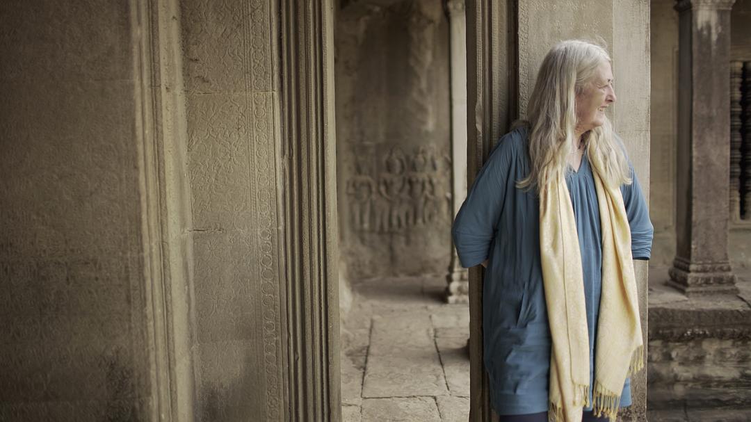 文明 Civilisations