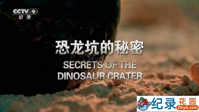 央视史前生物研究纪录片《恐龙坑的秘密》全1集 TS/蓝光高清纪录片资源百度云盘下载