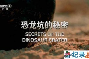 央视史前生物研究纪录片《恐龙坑的秘密》全1集 TS/蓝光高清纪录片资源百度云盘下载