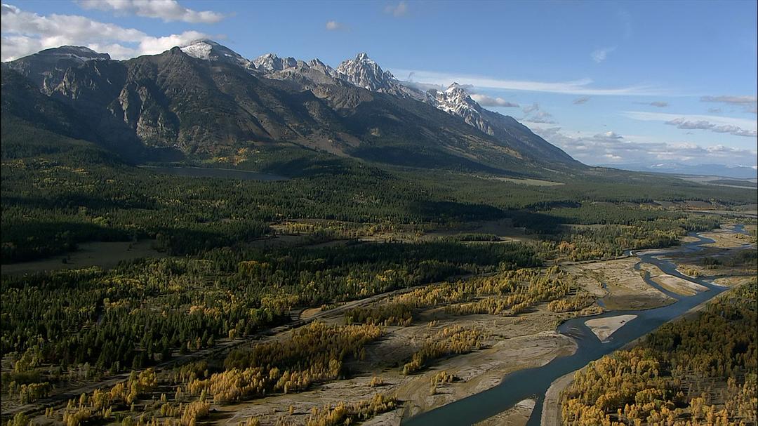 自然世界：动物之家 The Natural World: Animal House