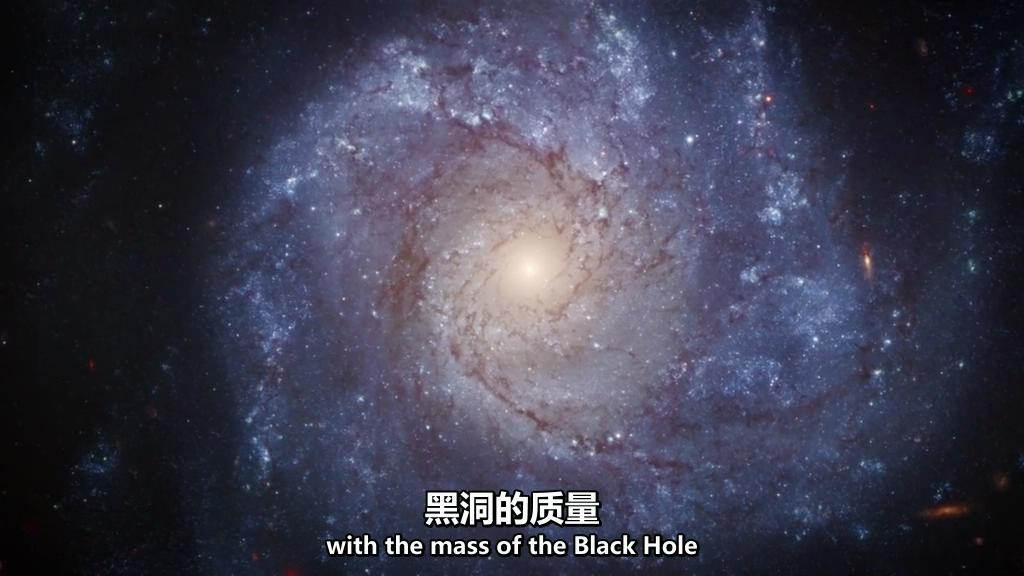地平线系列：被黑洞吞噬 Horizon: Swallowed by a Black Hole