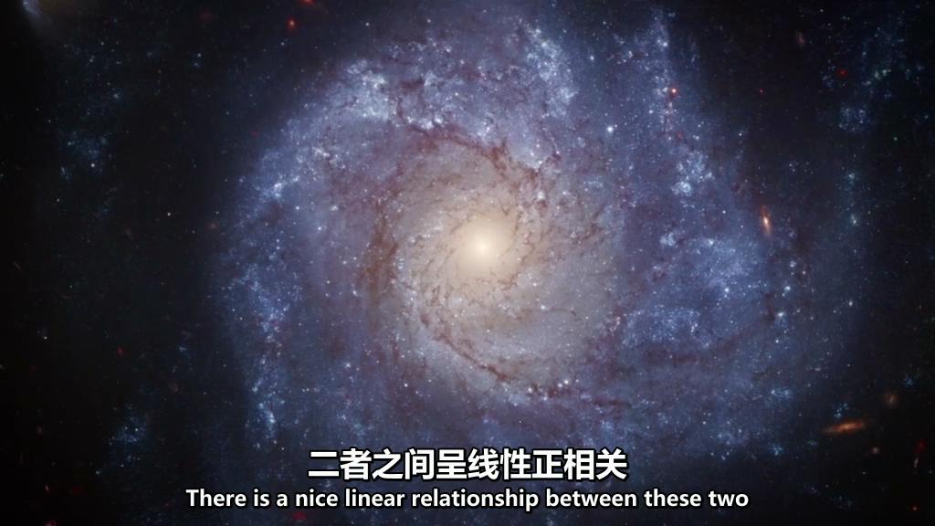 地平线系列：被黑洞吞噬 Horizon: Swallowed by a Black Hole