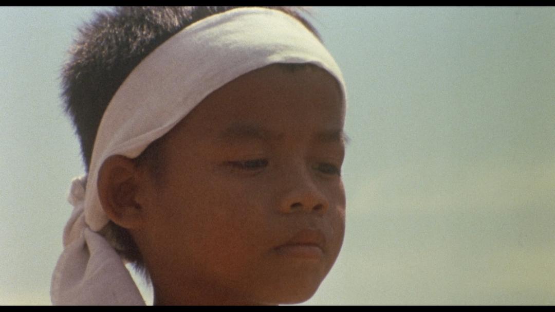 心灵与智慧 Hearts and Minds