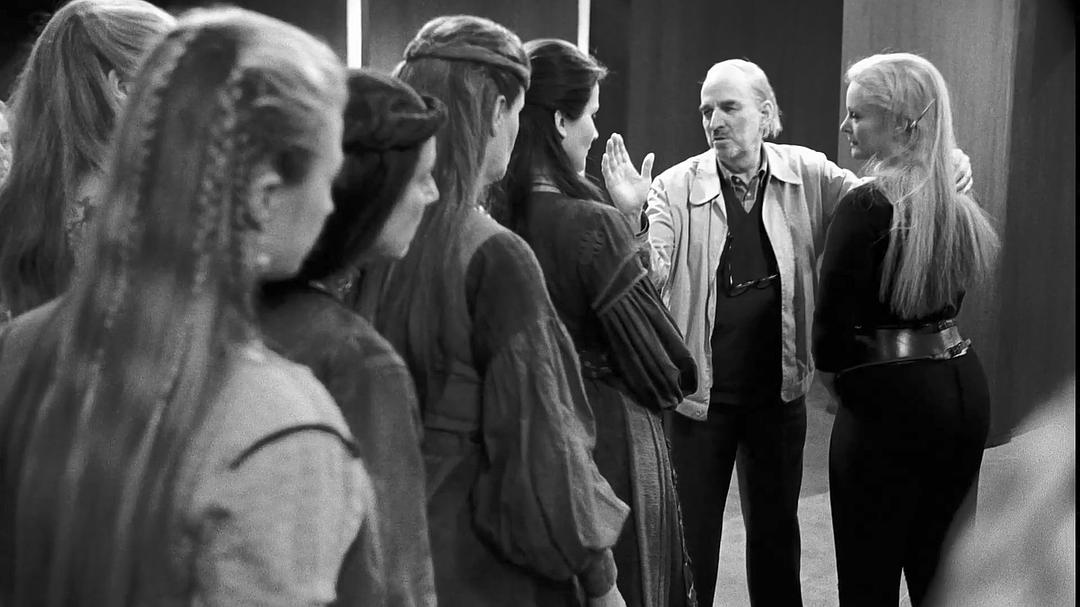 伯格曼：人生中的那一年 Bergman — ett år, ett liv