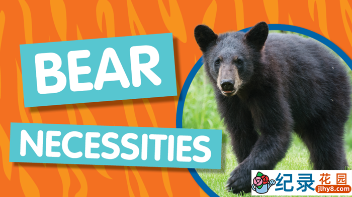 国家地理生物进化纪录片《演化足迹 熊族崛起 Bear Necessities》全1集 720P/1080i高清纪录片百度云下载