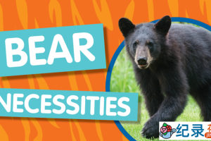 国家地理生物进化纪录片《演化足迹 熊族崛起 Bear Necessities》全1集 720P/1080i高清纪录片百度云下载