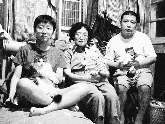 牛皮 牛皮 / niu pi