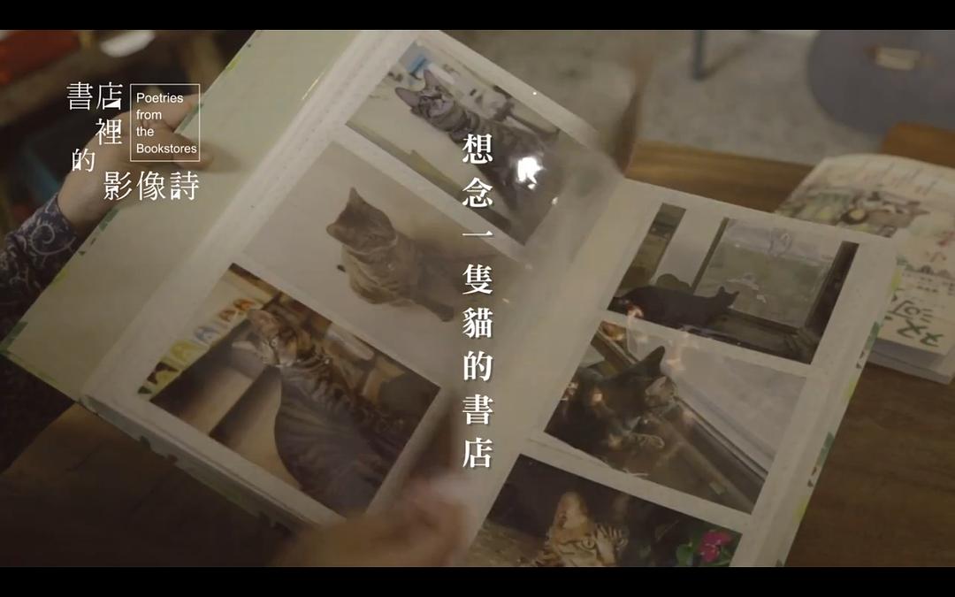 书店里的影像诗 書店里的影像詩