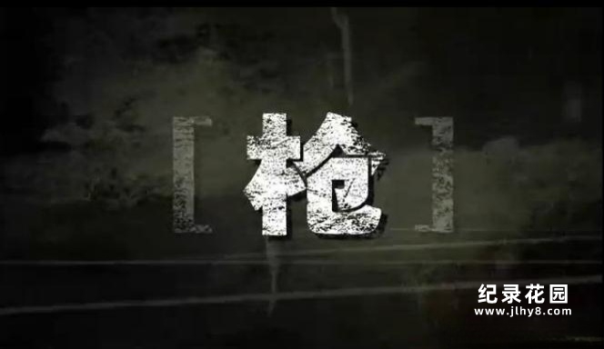 CCTV央视武器纪录片《枪 The Gun》全5集 720P/1080i高清纪录片资源百度云盘下载