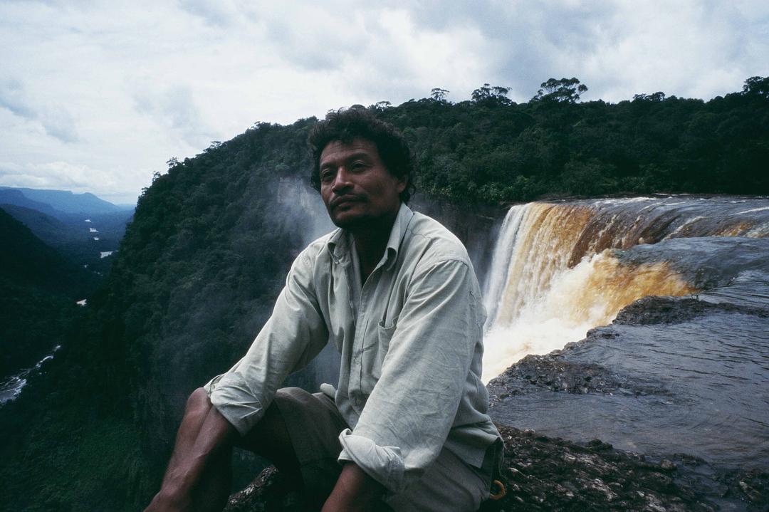 白钻石 The White Diamond