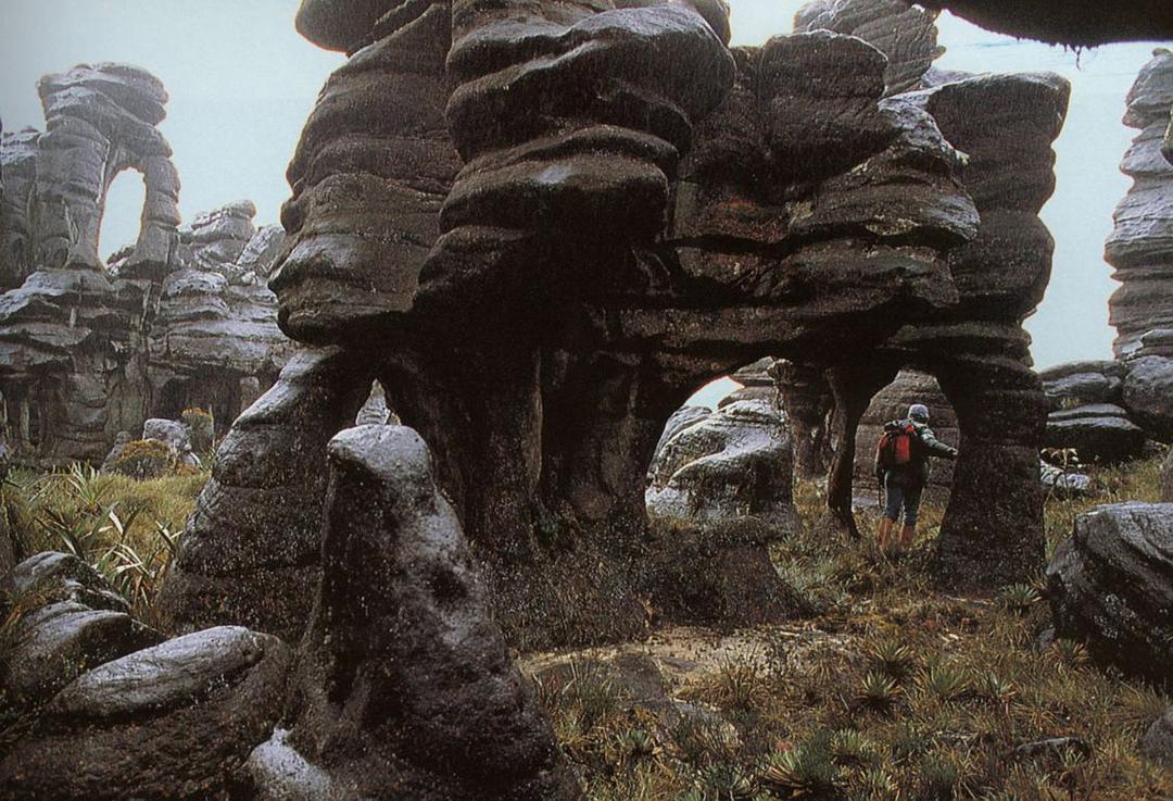 白钻石 The White Diamond