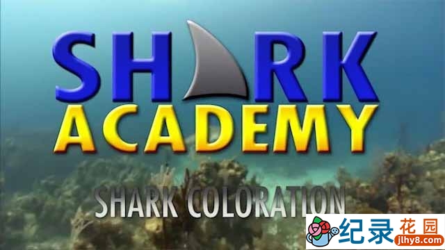 鲨鱼纪录片《鲨鱼学院 Shark Academy》全7集 720P/1080i高清纪录片资源百度云盘下载