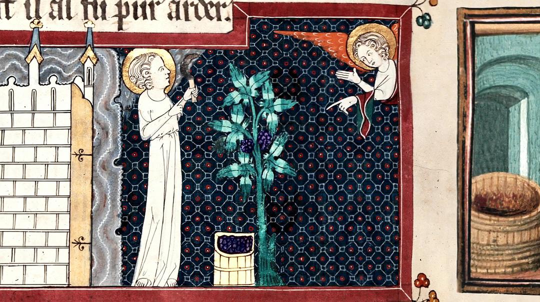 葡萄酒进瓶的那些事 SOMM: Into the Bottle