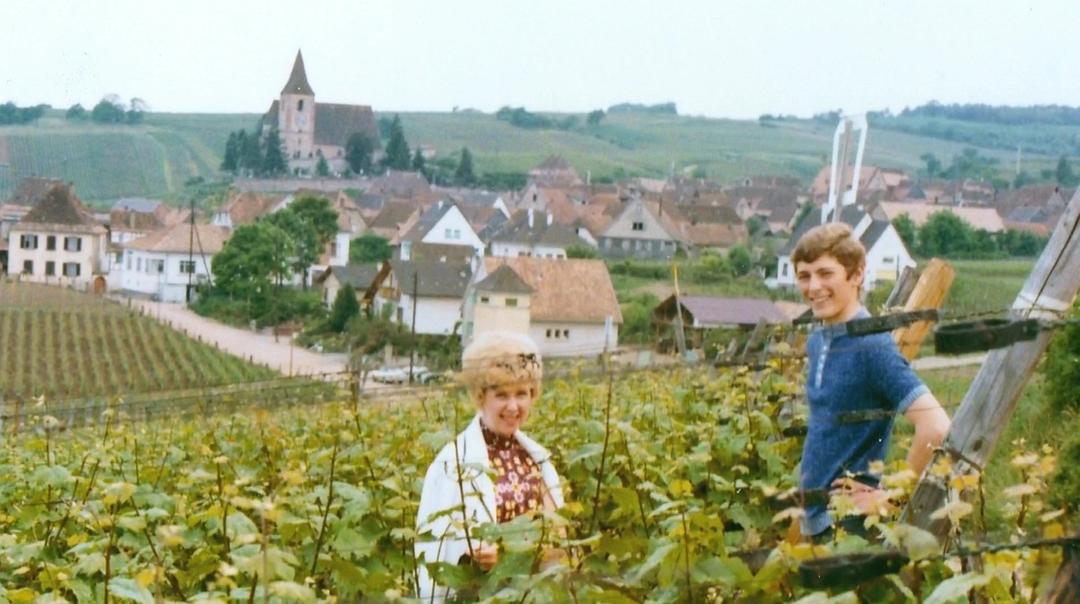 葡萄酒进瓶的那些事 SOMM: Into the Bottle