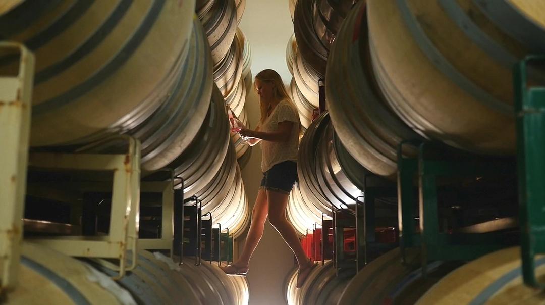 葡萄酒进瓶的那些事 SOMM: Into the Bottle