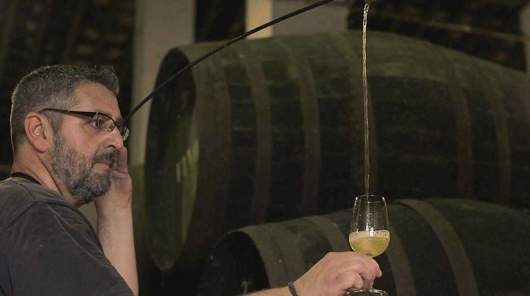 葡萄酒进瓶的那些事 SOMM: Into the Bottle