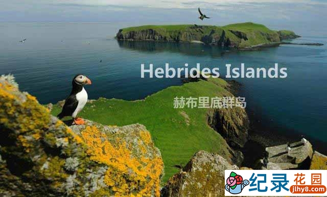 BBC自然生态纪录片《赫布里底群岛 边海之岛 Hebrides Islands on the Edge》全4集 720P/1080i高清纪录片百度云下载