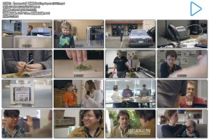 卷烟纸 Rolling Papers