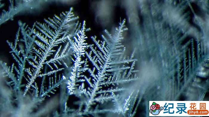 科普纪录片《美丽化学 Beautiful Chemistry》全25集 720P/1080i高清纪录片资源百度云盘下载