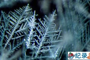 科普纪录片《美丽化学 Beautiful Chemistry》全25集 720P/1080i高清纪录片资源百度云盘下载