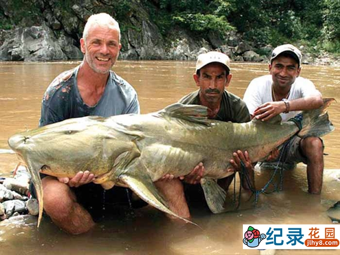 动物星球捕鱼纪录片《河中巨怪 River Monsters》第6季中字 1080P高清自媒体解说素材百度云盘下载
