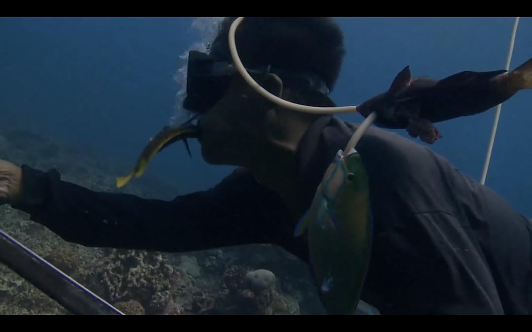 水下漫步 Walking Under Water