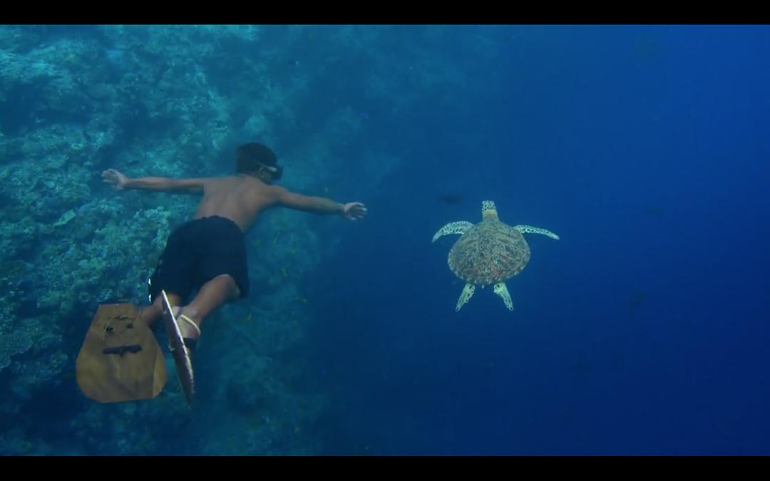 水下漫步 Walking Under Water
