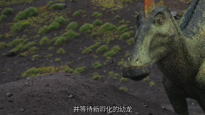 恐龙超世界 第二季