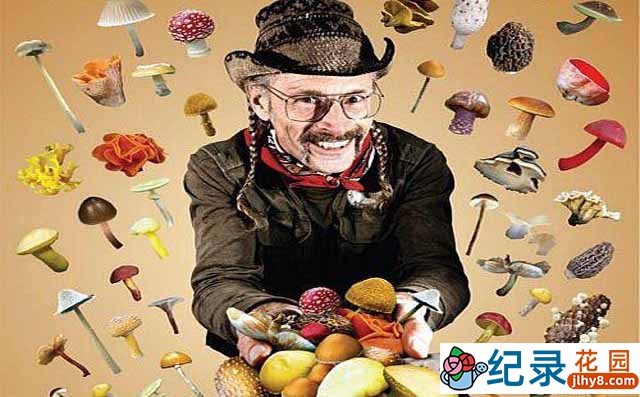 蘑菇纪录片《了解你的蘑菇 Know Your Mushrooms》全1集 标清纪录片百度云下载
