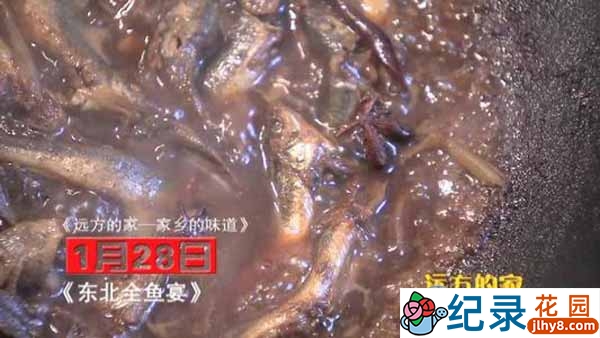 央视远方的家旅行纪录片《家乡的味道》全12集 720P/1080i纪录片资源百度云盘下载