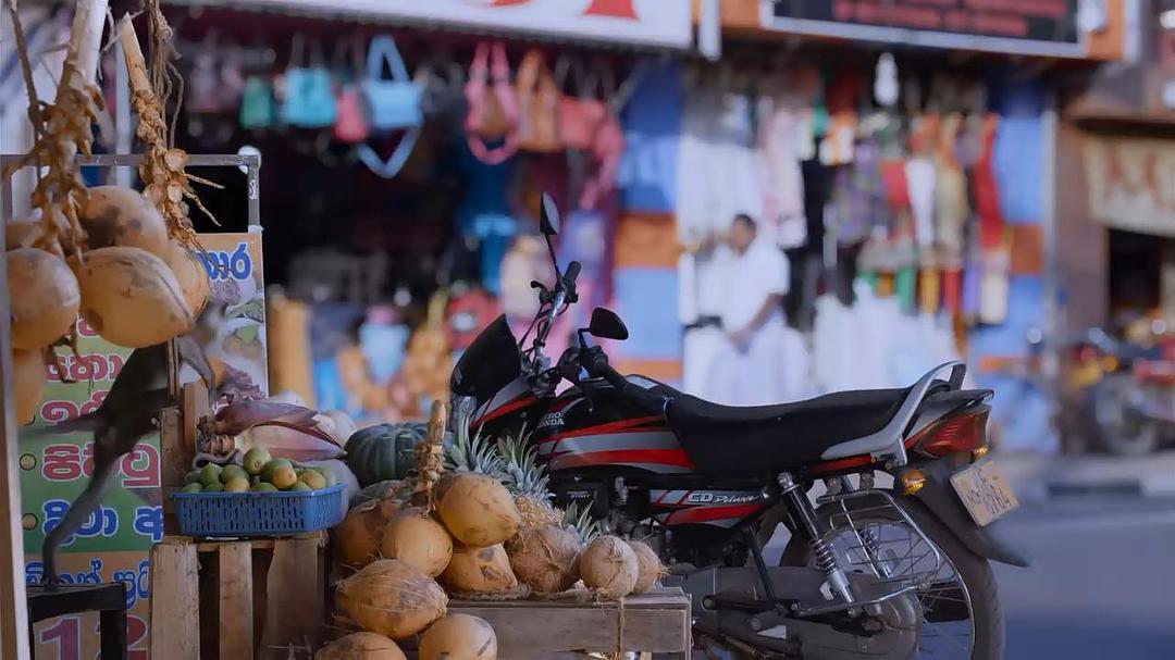 猴子王国 Monkey Kingdom