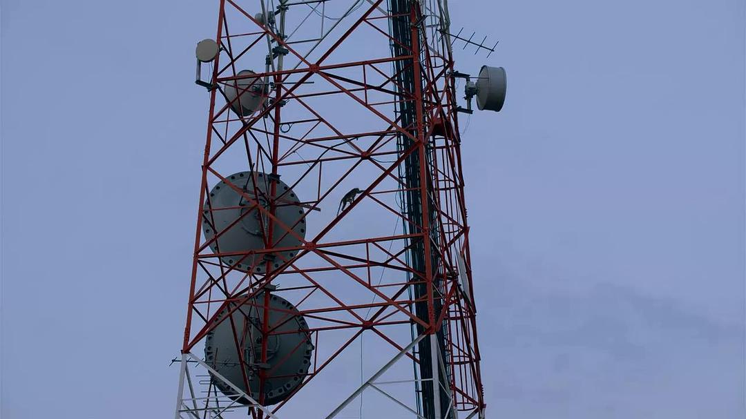 猴子王国 Monkey Kingdom