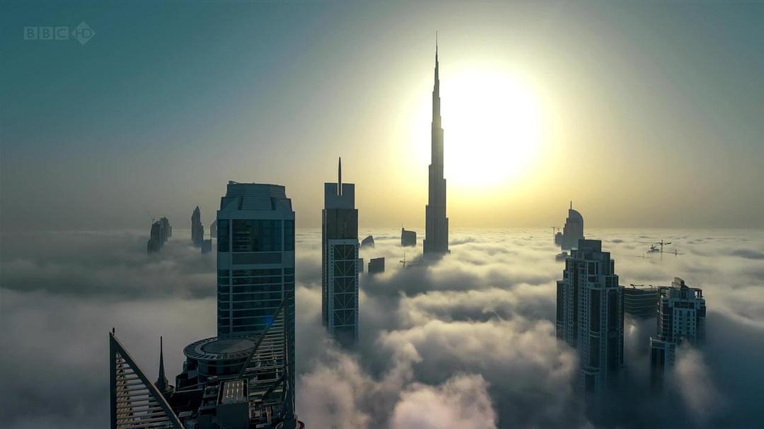 狂野阿拉伯 Wild Arabia