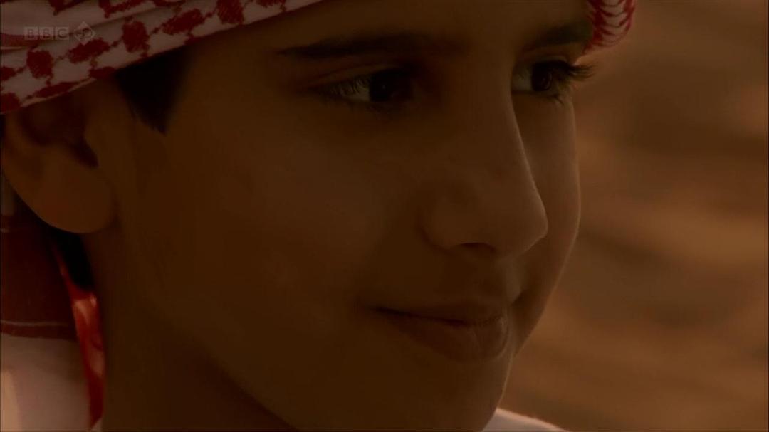 狂野阿拉伯 Wild Arabia