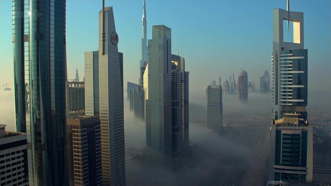 狂野阿拉伯 Wild Arabia