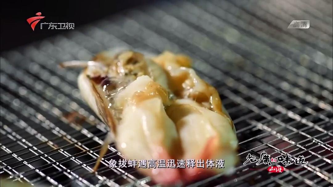 老广的味道 第三季