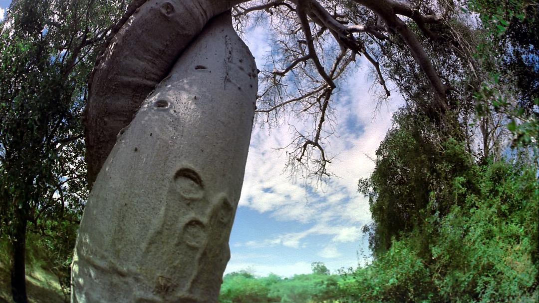 胜地 The Greatest Places