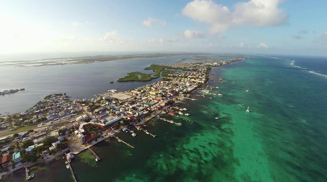 外国佬：约翰·迈克菲的危险生活 Gringo: The Dangerous Life of John McAfee